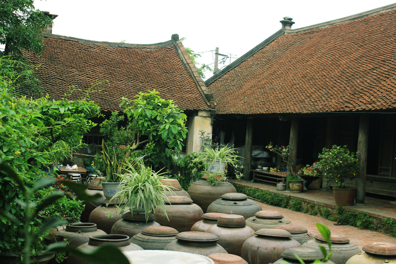 Chiêm ngưỡng vẻ đẹp di sản vẹn nguyên ở làng cổ Đường Lâm ảnh 13