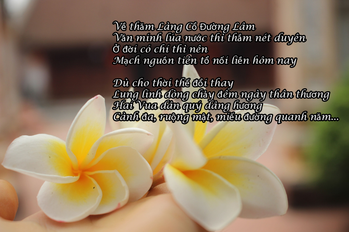 Chiêm ngưỡng vẻ đẹp di sản vẹn nguyên ở làng cổ Đường Lâm ảnh 20