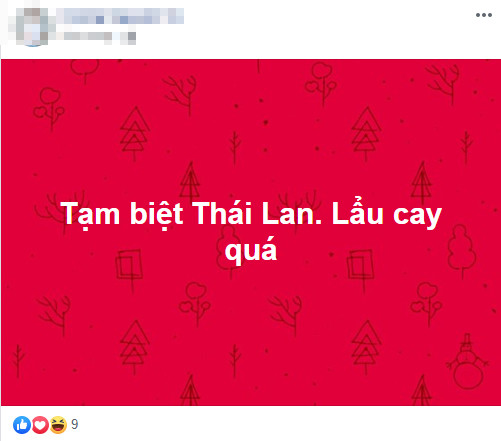 Dân mạng 'bùng nổ' khi U22 Việt Nam loại U22 Thái, vào bán kết SEA Games 30 ảnh 9