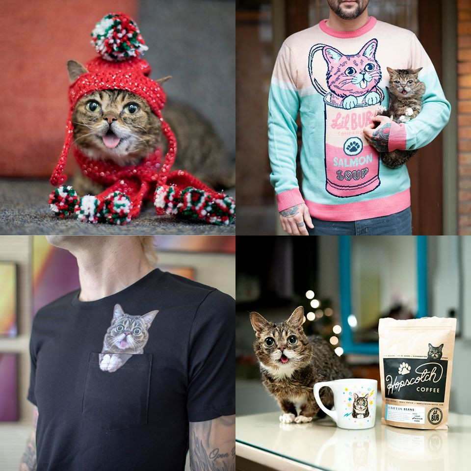 Thông tin ít biết về chú mèo nổi tiếng nhất thế giới vừa qua đời ảnh 4