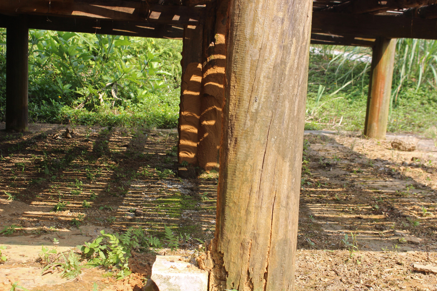 Cảnh tan hoang, rậm rạp của một số công trình tại làng Văn hóa - Du lịch các dân tộc ảnh 2