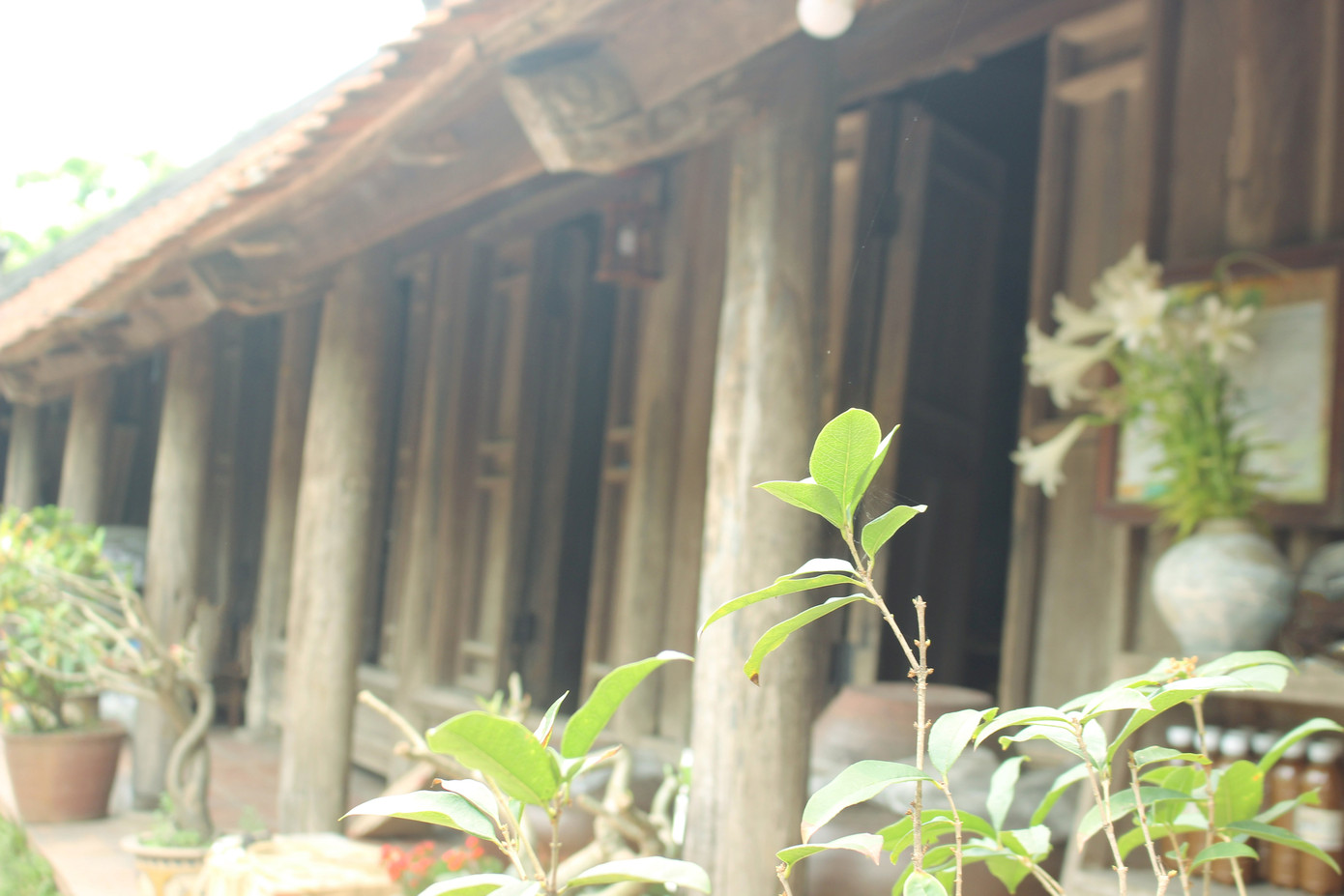 Chiêm ngưỡng vẻ đẹp di sản vẹn nguyên ở làng cổ Đường Lâm ảnh 3