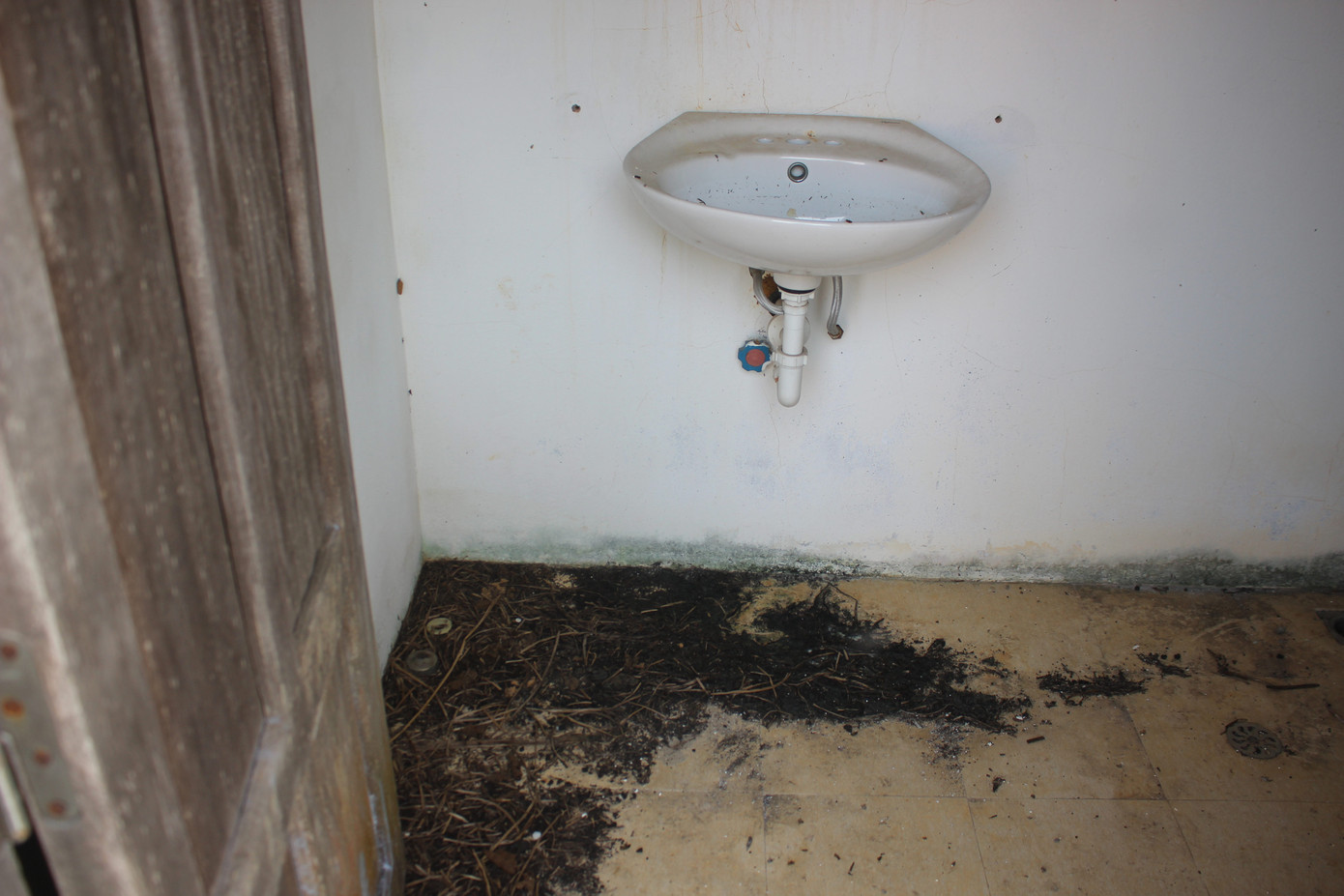 Cảnh tan hoang, rậm rạp của một số công trình tại làng Văn hóa - Du lịch các dân tộc ảnh 23