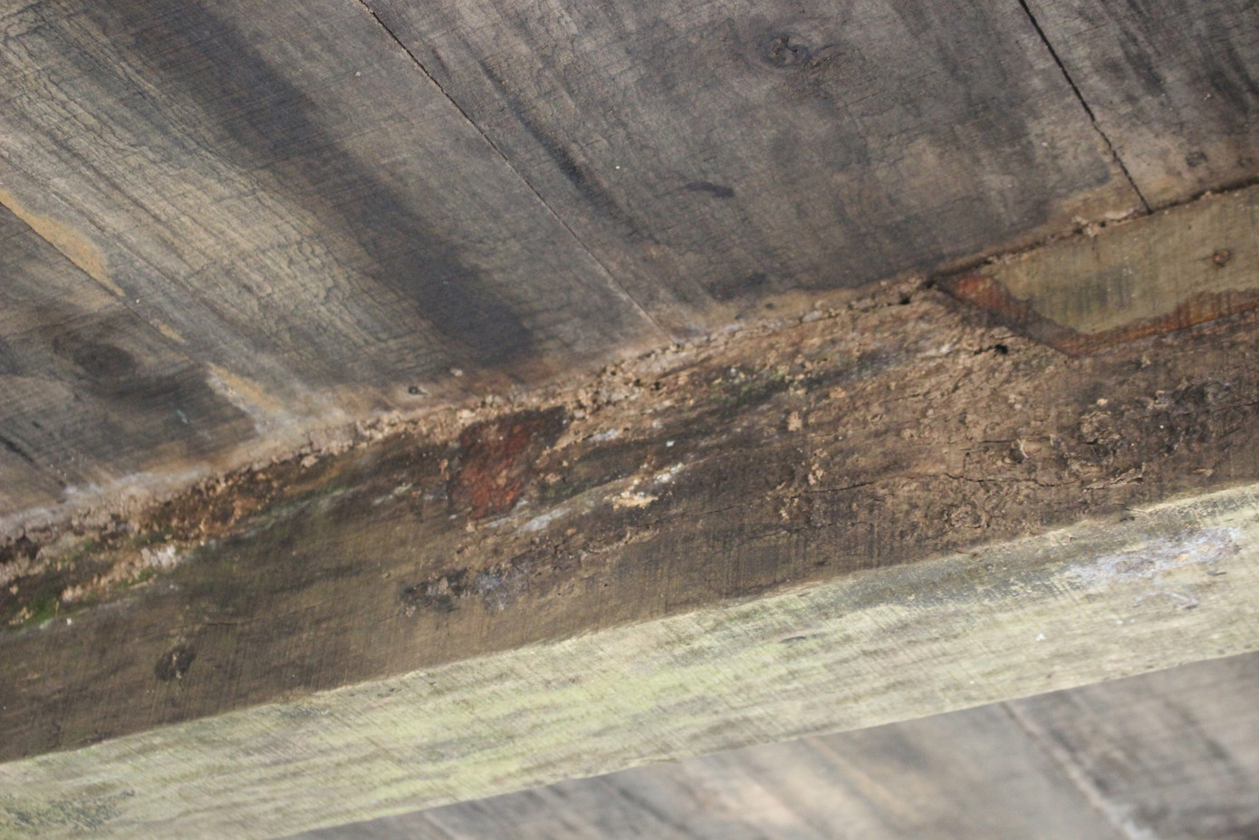 Cảnh tan hoang, rậm rạp của một số công trình tại làng Văn hóa - Du lịch các dân tộc ảnh 4