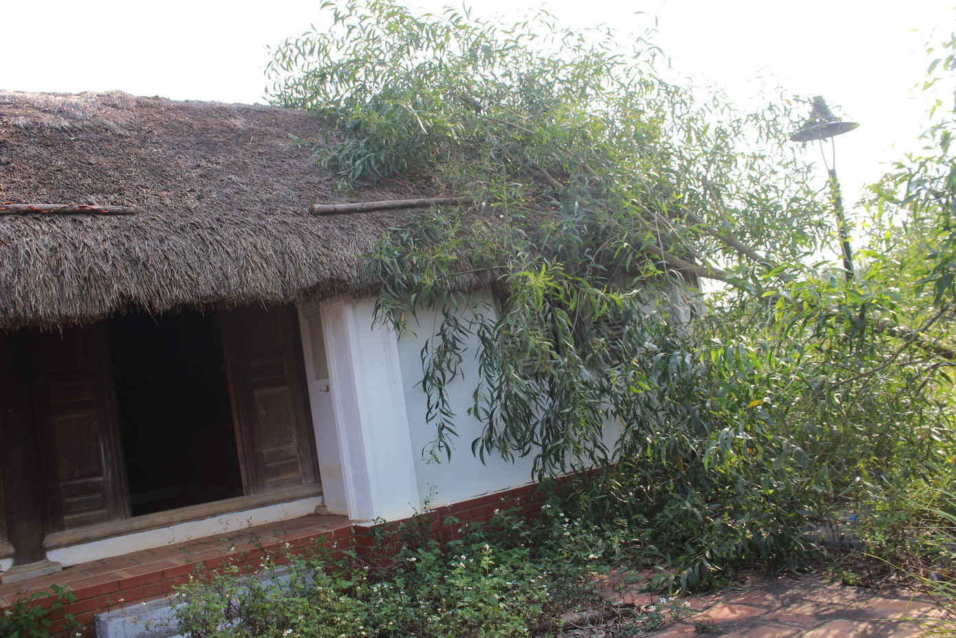 Cảnh tan hoang, rậm rạp của một số công trình tại làng Văn hóa - Du lịch các dân tộc ảnh 21