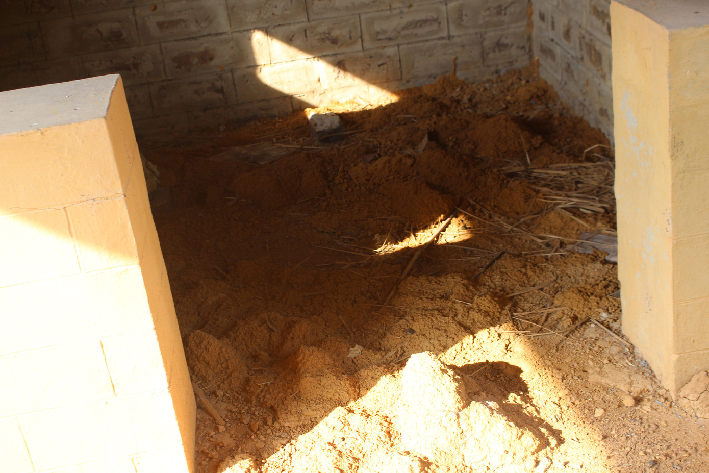 Cảnh tan hoang, rậm rạp của một số công trình tại làng Văn hóa - Du lịch các dân tộc ảnh 15