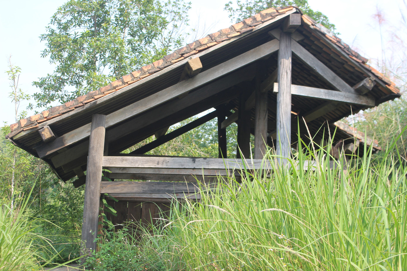 Cảnh tan hoang, rậm rạp của một số công trình tại làng Văn hóa - Du lịch các dân tộc ảnh 13