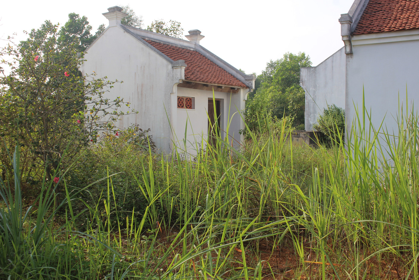 Cảnh tan hoang, rậm rạp của một số công trình tại làng Văn hóa - Du lịch các dân tộc ảnh 10