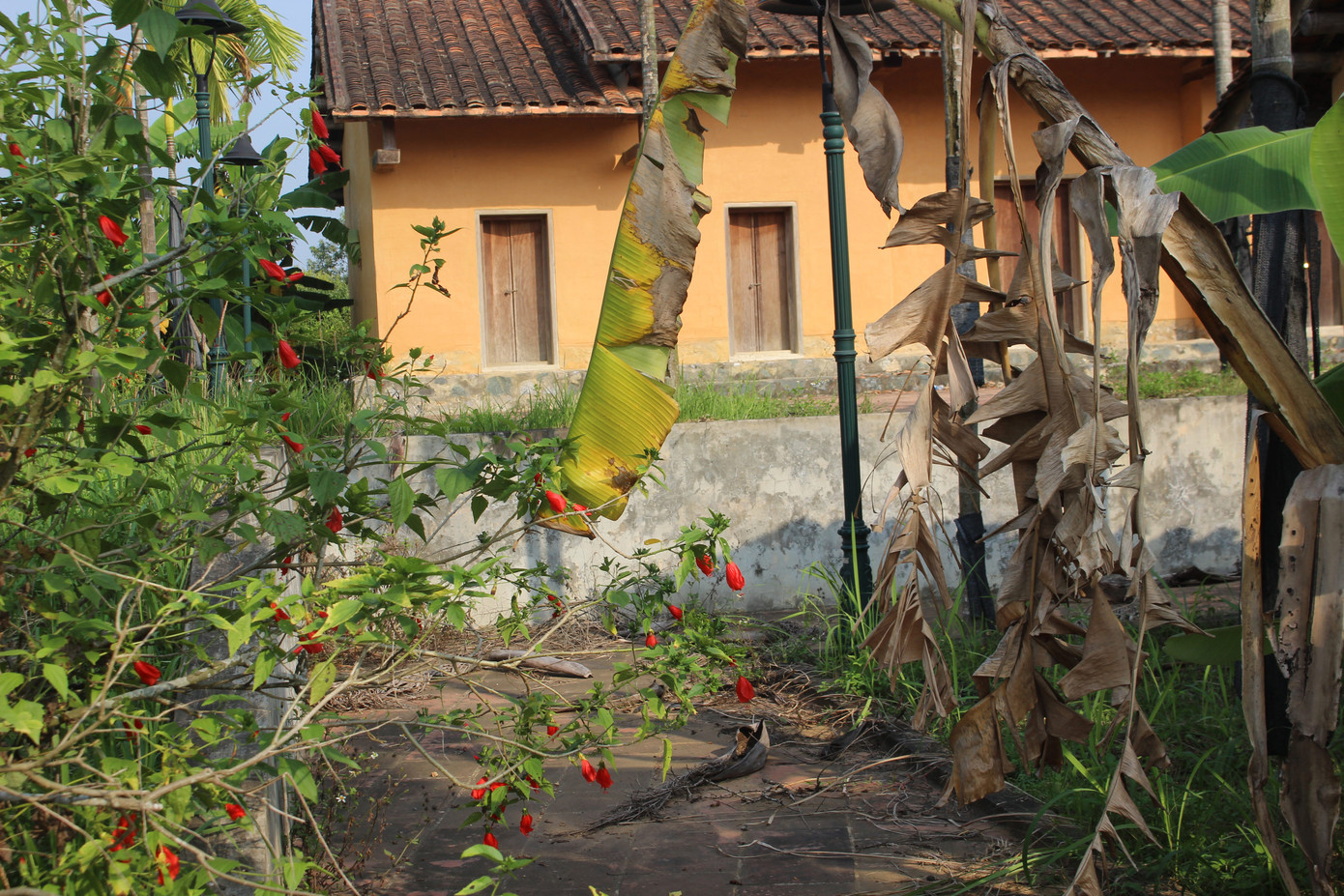 Cảnh tan hoang, rậm rạp của một số công trình tại làng Văn hóa - Du lịch các dân tộc ảnh 20