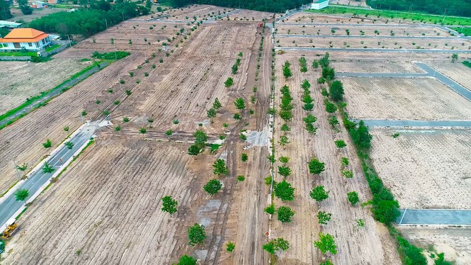 Chuyển nhượng đất nền trái phép, chậm làm sổ đỏ phạt 1 tỷ còn 'nhẹ' ảnh 1