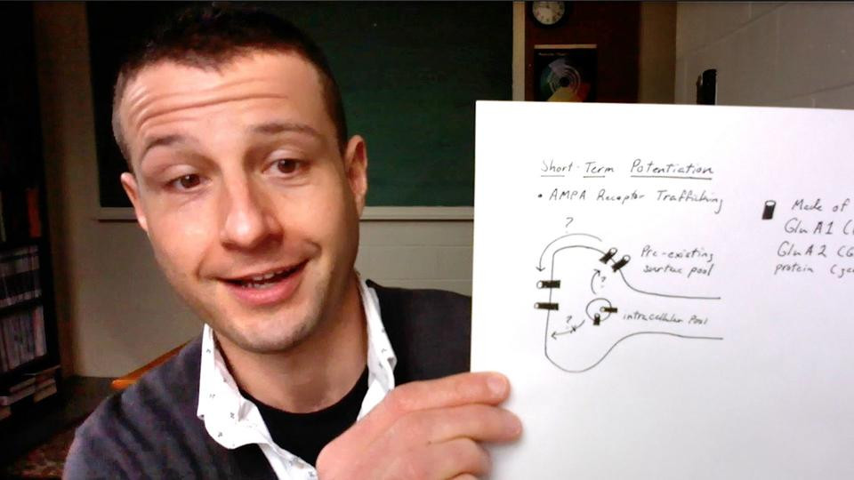 1001 tuyển tập hài hước khi học online: Giáo viên “low-tech”, điểm danh khi đang đi chợ ảnh 5 1001 tuyển tập hài hước khi học online: Giáo viên “low-tech”, điểm danh khi đang đi chợ ảnh 5