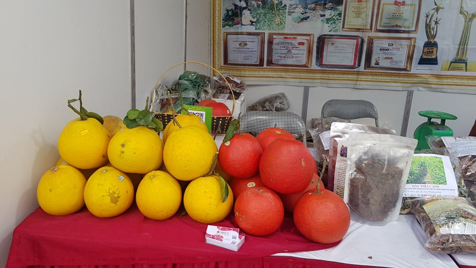 Đặc sản vùng miền 'đổ bộ' chợ Tết Thủ đô ảnh 2