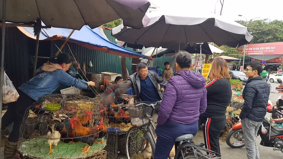 Chồn chân chờ gà cúng ông Công ông Táo, nhiều người muộn làm ảnh 3