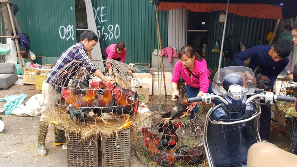 Chồn chân chờ gà cúng ông Công ông Táo, nhiều người muộn làm ảnh 5