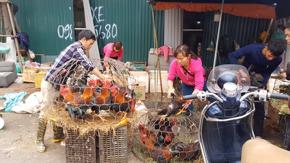 Chồn chân chờ gà cúng ông Công ông Táo, nhiều người muộn làm ảnh 5