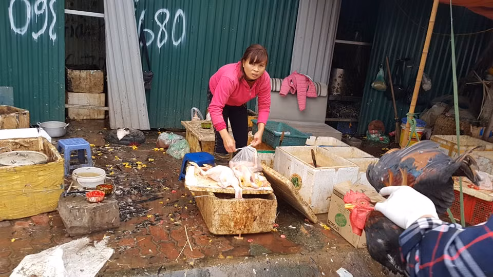 Chồn chân chờ gà cúng ông Công ông Táo, nhiều người muộn làm ảnh 4