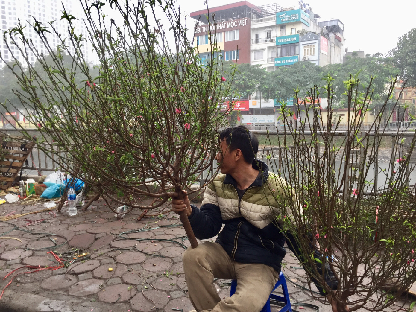 Chiều 30 Tết: Dân thủ đô đội mưa mua hoa 'giá bèo' ảnh 7