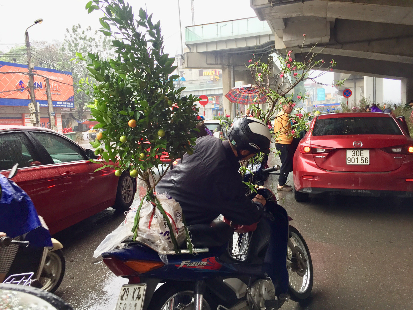 Chiều 30 Tết: Dân thủ đô đội mưa mua hoa 'giá bèo' ảnh 8