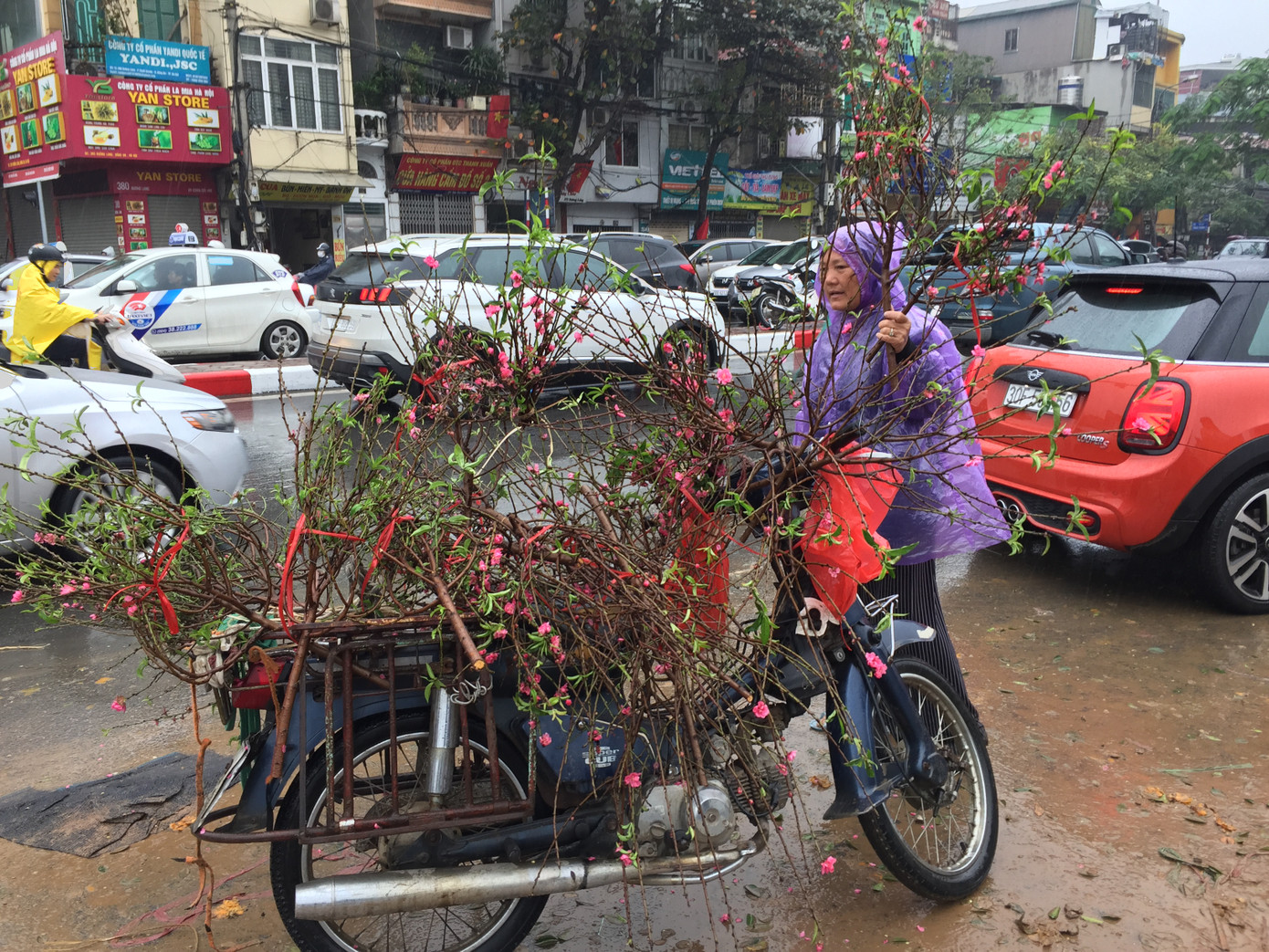 Chiều 30 Tết: Dân thủ đô đội mưa mua hoa 'giá bèo' ảnh 6