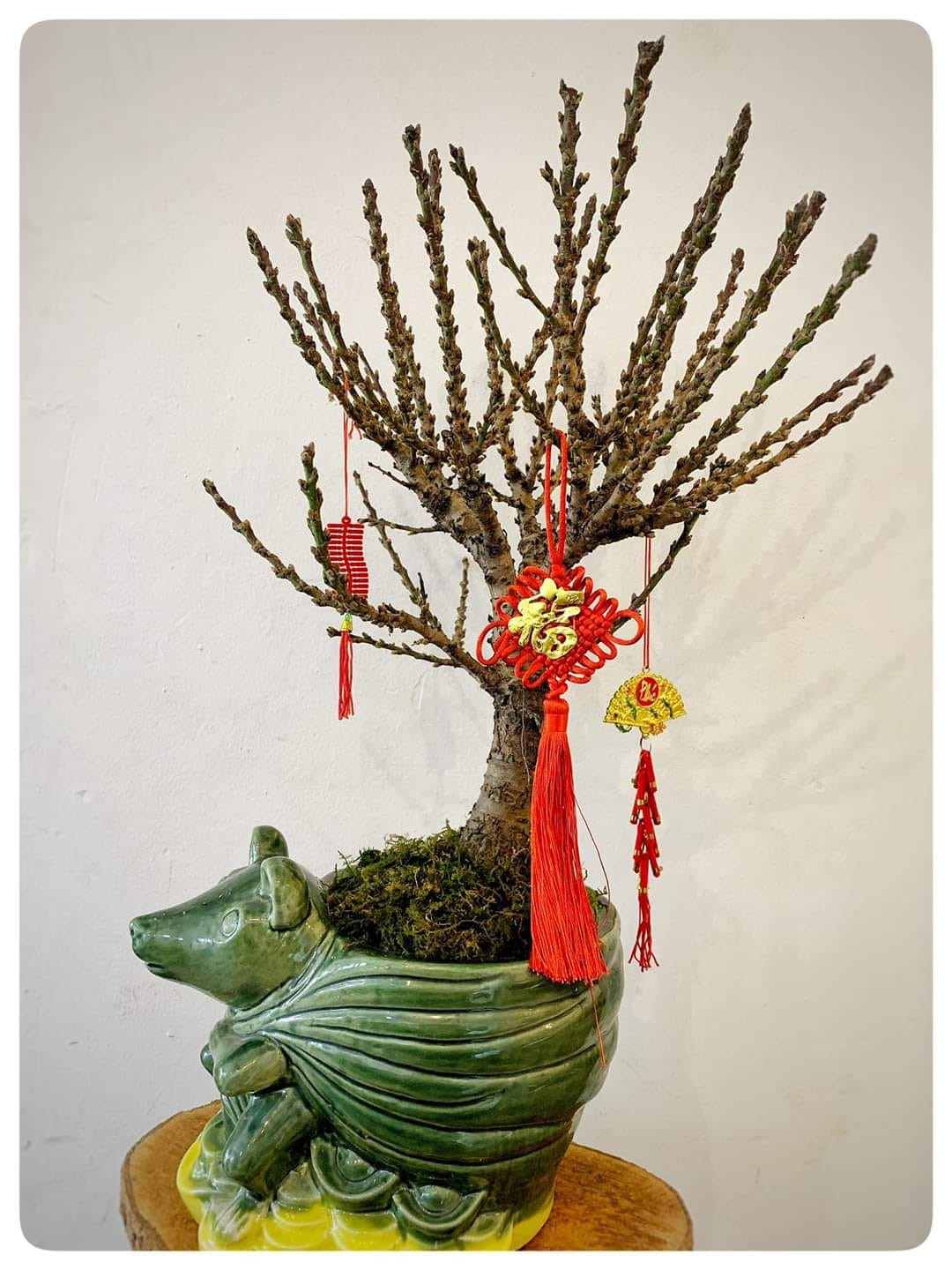 Hoa lạ từ Trung Quốc 'hút' khách hàng chơi trước Tết cả tháng ảnh 3