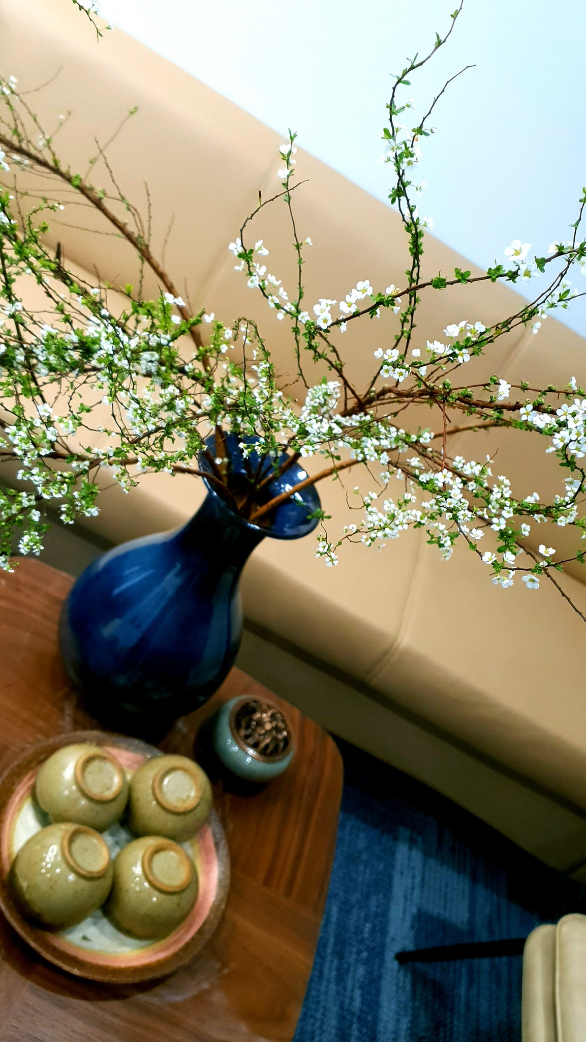 Hoa lạ từ Trung Quốc 'hút' khách hàng chơi trước Tết cả tháng ảnh 2