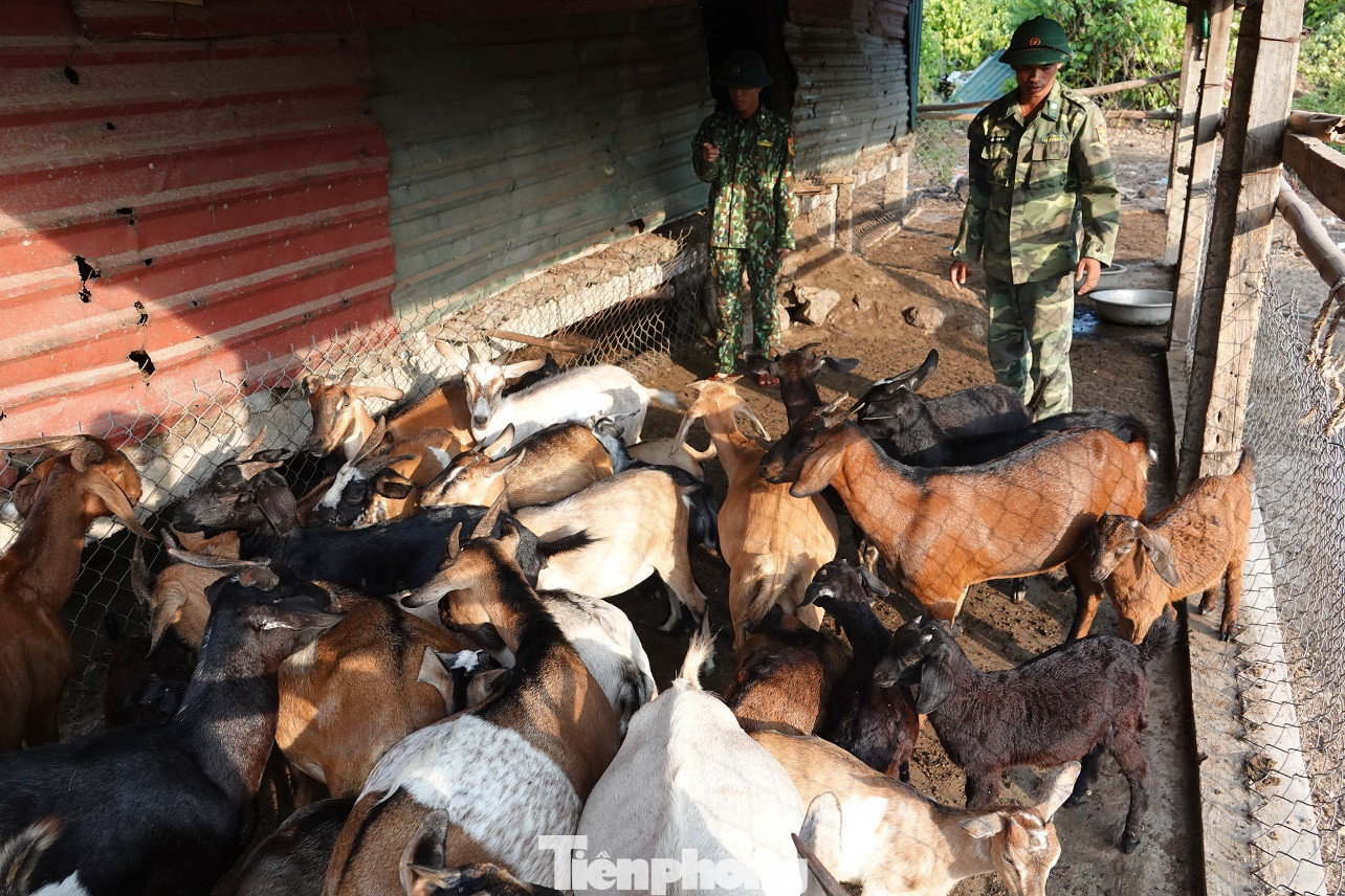 Quân hàm xanh giữ đảo tiền tiêu ảnh 10