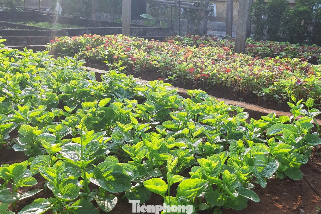 Quân hàm xanh giữ đảo tiền tiêu ảnh 11