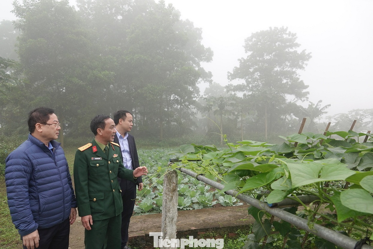 Chúc Tết người lính Tu Vũ anh hùng ảnh 6