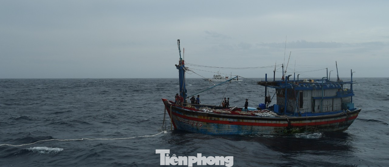 Thêm 2 tàu kiểm ngư chi viện tìm kiếm 26 ngư dân mất tích ở vùng biển Khánh Hoà ảnh 1