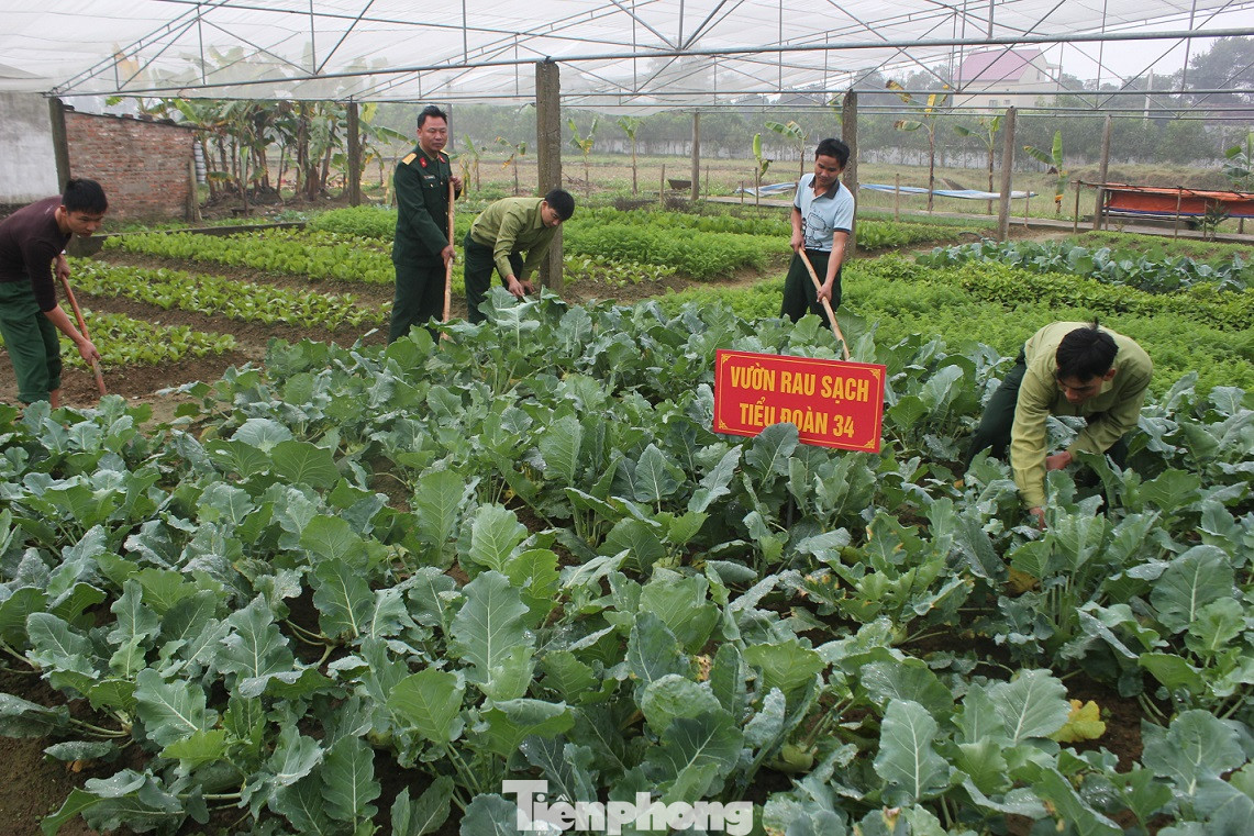 ‘Thực túc binh cường’ ở Trung đoàn Vận tải 654 ảnh 1