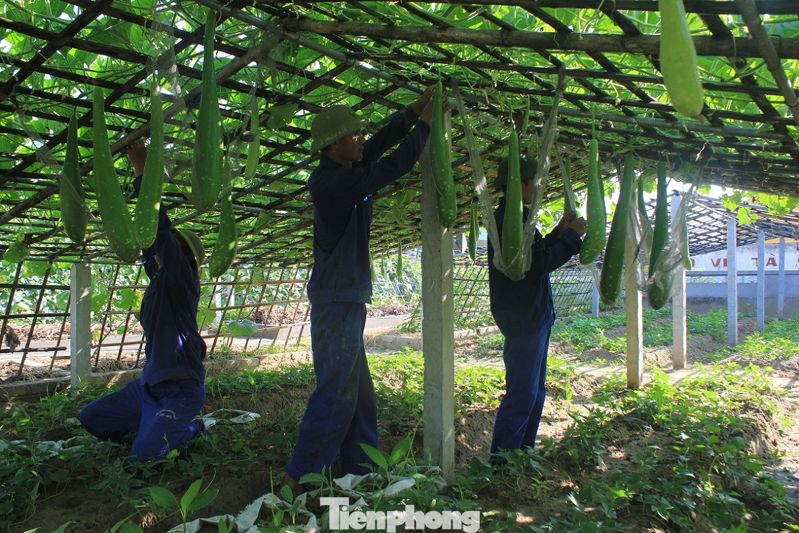 ‘Thực túc binh cường’ ở Trung đoàn Vận tải 654 ảnh 4