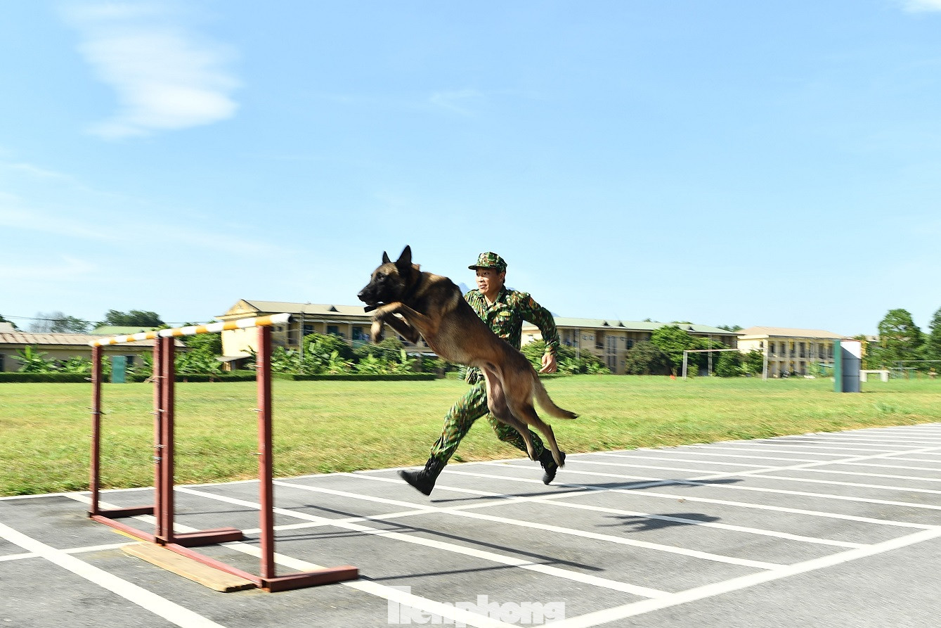 Chó nghiệp vụ Biên phòng Việt Nam sẽ thi tài tại Army Games 2020 ảnh 2