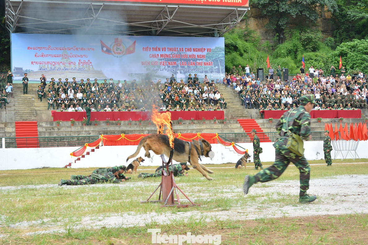 Chó nghiệp vụ Biên phòng Việt Nam sẽ thi tài tại Army Games 2020 ảnh 5