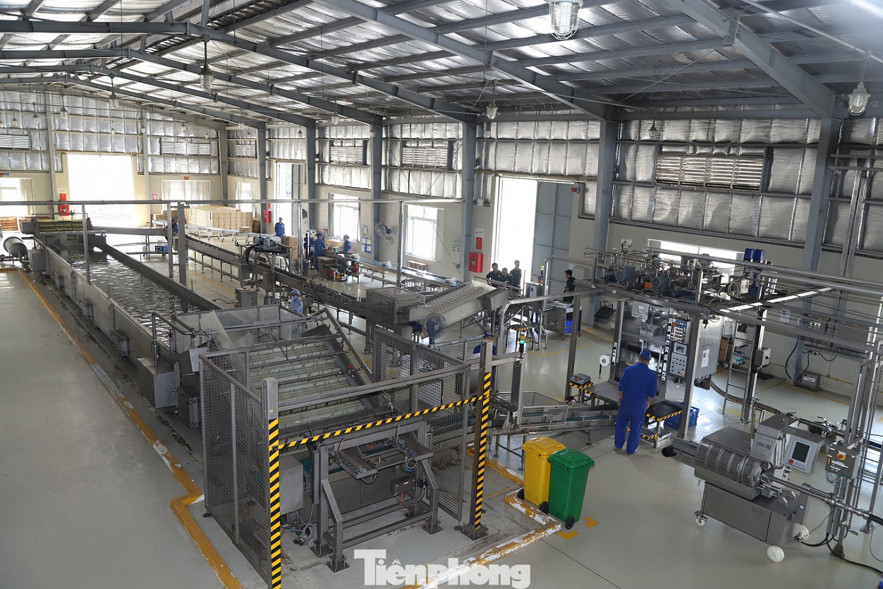 Ngành Công nghiệp Quốc phòng VN đề xuất phát triển tên lửa chống tăng thế hệ mới ảnh 3