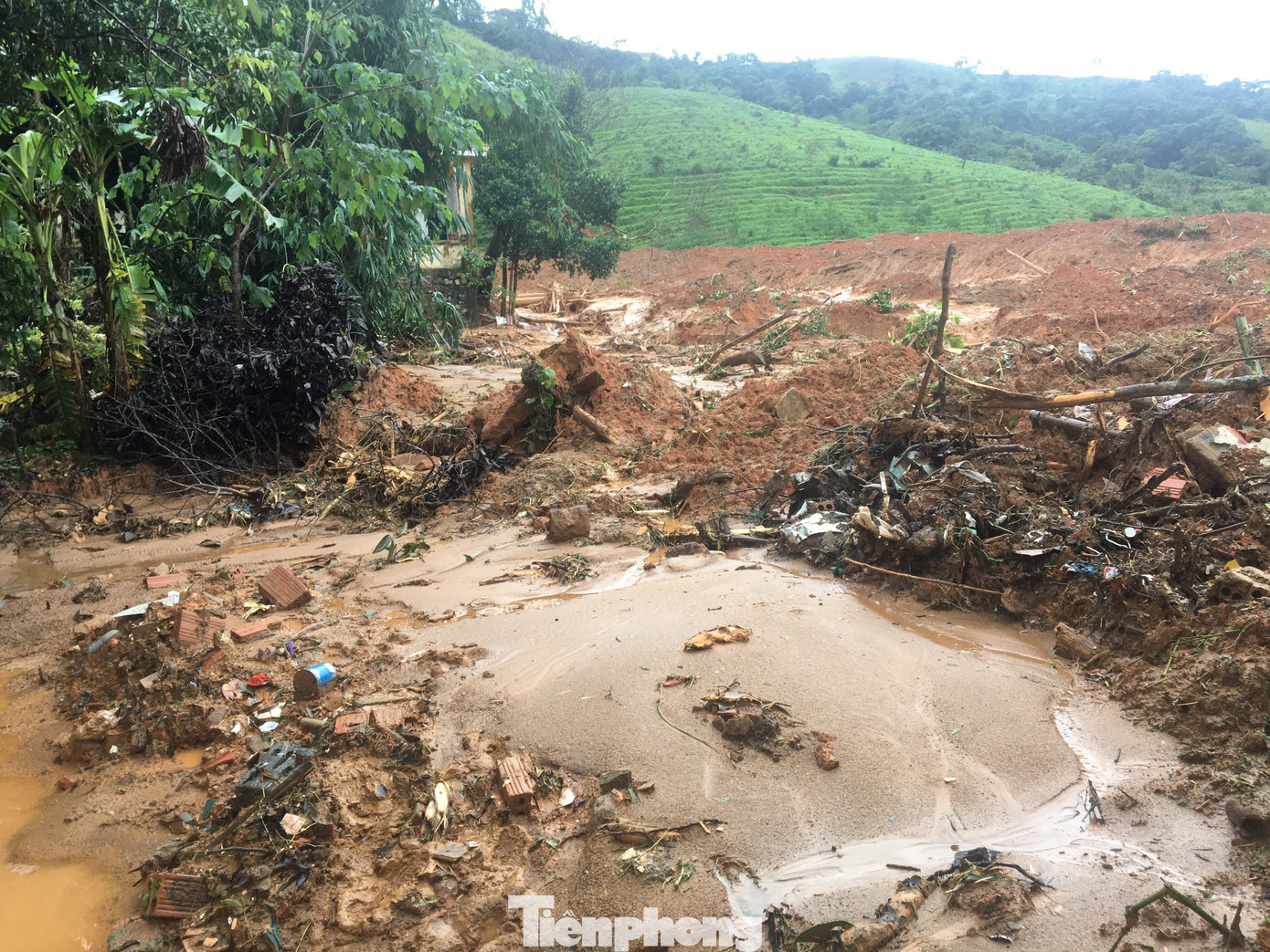 Tìm thấy nhiều thi thể vụ sạt lở ở Đoàn 337, tính phương án dùng trực thăng cứu nạn ảnh 24