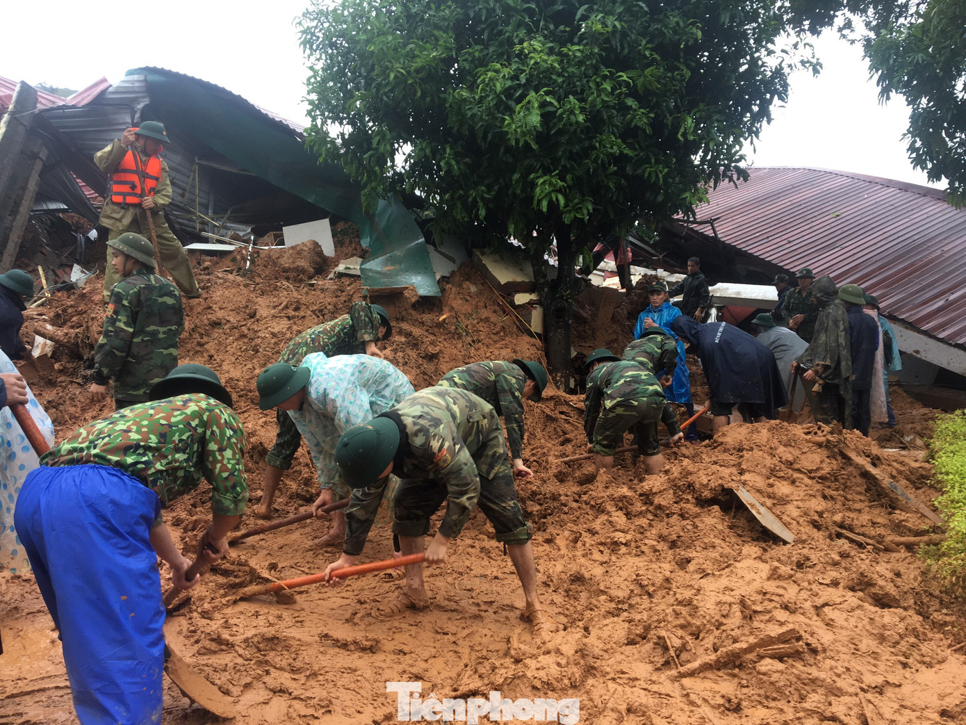 Tìm thấy nhiều thi thể vụ sạt lở ở Đoàn 337, tính phương án dùng trực thăng cứu nạn ảnh 22