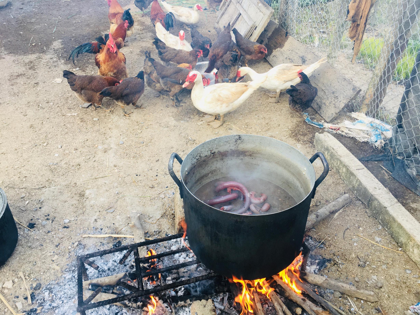 Nhà cầu thủ Hà Đức Chinh: Mổ lợn, làm 10 mâm khao người hâm mộ ảnh 4