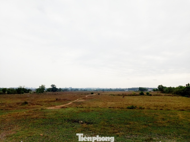 Cận cảnh khu đất khiến lãnh đạo Cty Thiên Phú bị bắt ảnh 8