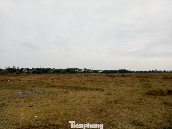 Cận cảnh khu đất khiến lãnh đạo Cty Thiên Phú bị bắt ảnh 7