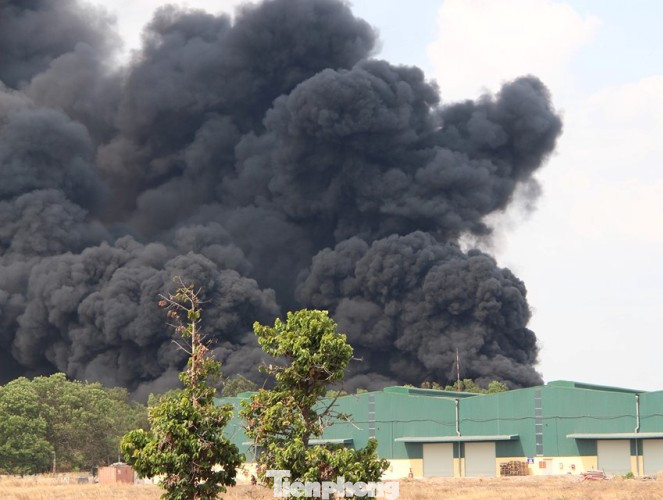 Bãi chứa lốp ô tô hơn 5.000m2 bốc cháy kinh hoàng ảnh 2