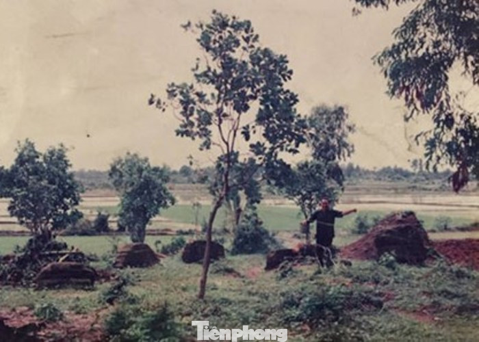 Bí ẩn mộ cổ của vị tướng quân không ai dám đến gần ở Bình Dương ảnh 1