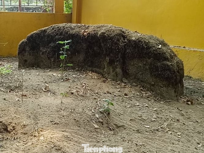 Bí ẩn mộ cổ của vị tướng quân không ai dám đến gần ở Bình Dương ảnh 4