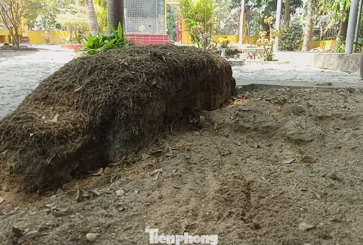 Bí ẩn mộ cổ của vị tướng quân không ai dám đến gần ở Bình Dương ảnh 5