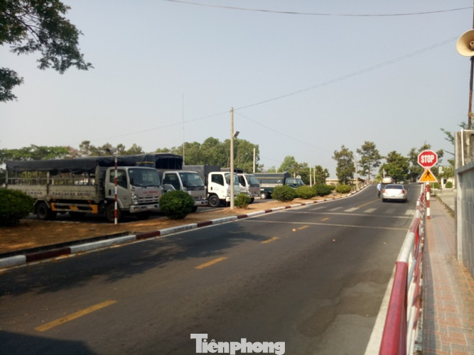 Trường lái ồ ạt sát hạch trước giờ lệnh cấm có hiệu lực ảnh 1