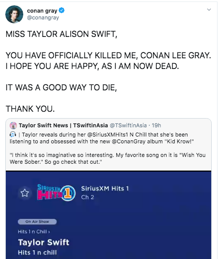 Taylor Swift tiết lộ nhật kí tự cách ly, hiến kế hàng tá việc thú vị để làm việc tại nhà ảnh 7