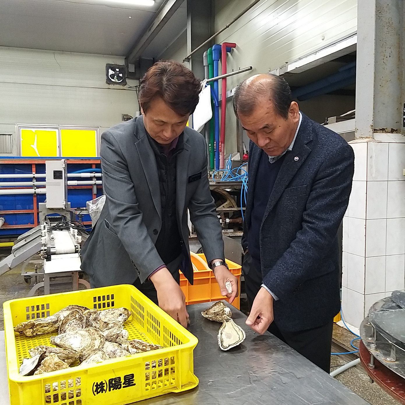 Đến Busan đừng bỏ qua những món ngon này? ảnh 5