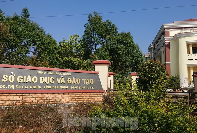 Lưu học sinh Việt Nam tại Anh đối mặt thế nào với dịch COVID-19 ảnh 5