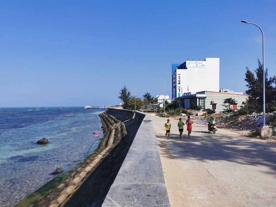 Tienphong Marathon 2020: Thử thách với cung đường biển Lý Sơn ảnh 3