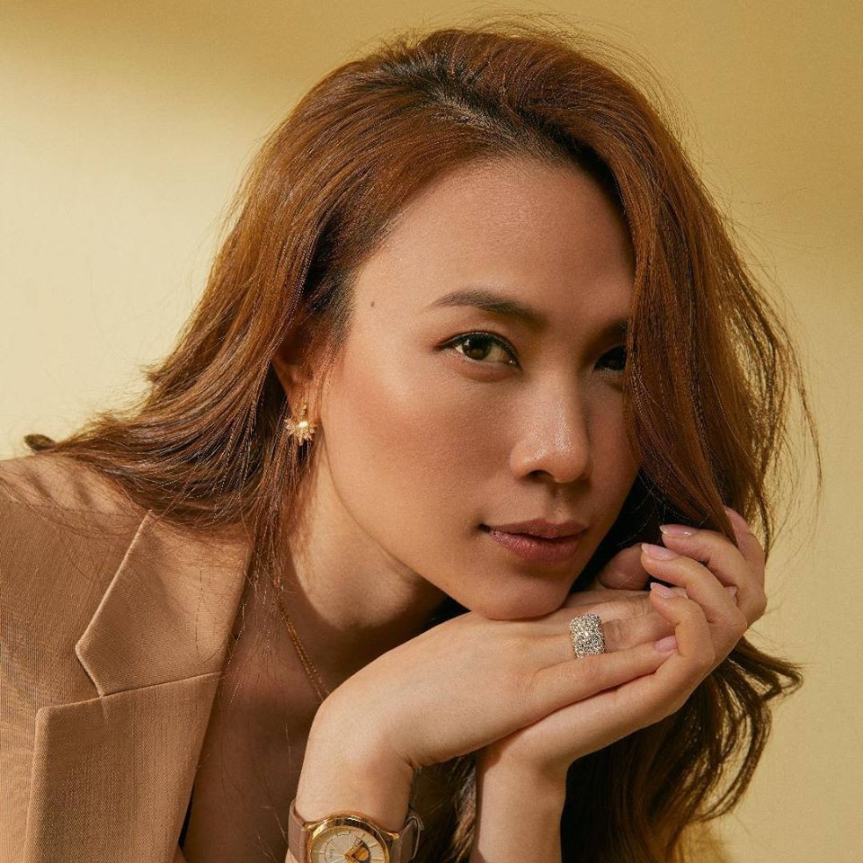 Vũ Hà trách móc Đàm Vĩnh Hưng vì không cưới Mỹ Tâm ảnh 2