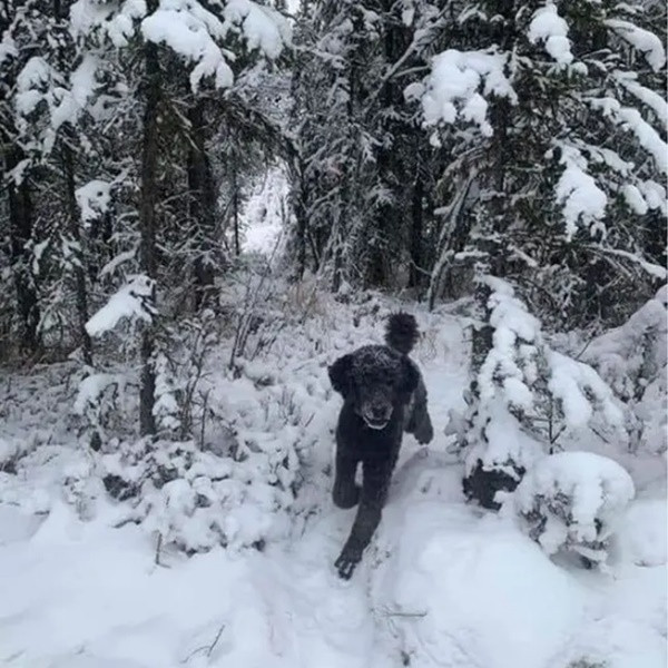 Bức ảnh kỳ lạ gây “ảo giác” khiến cư dân mạng tranh cãi không ngừng, bạn nhìn thấy gì trong ảnh? ảnh 1